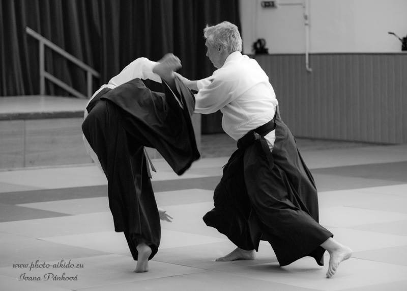 aikido training